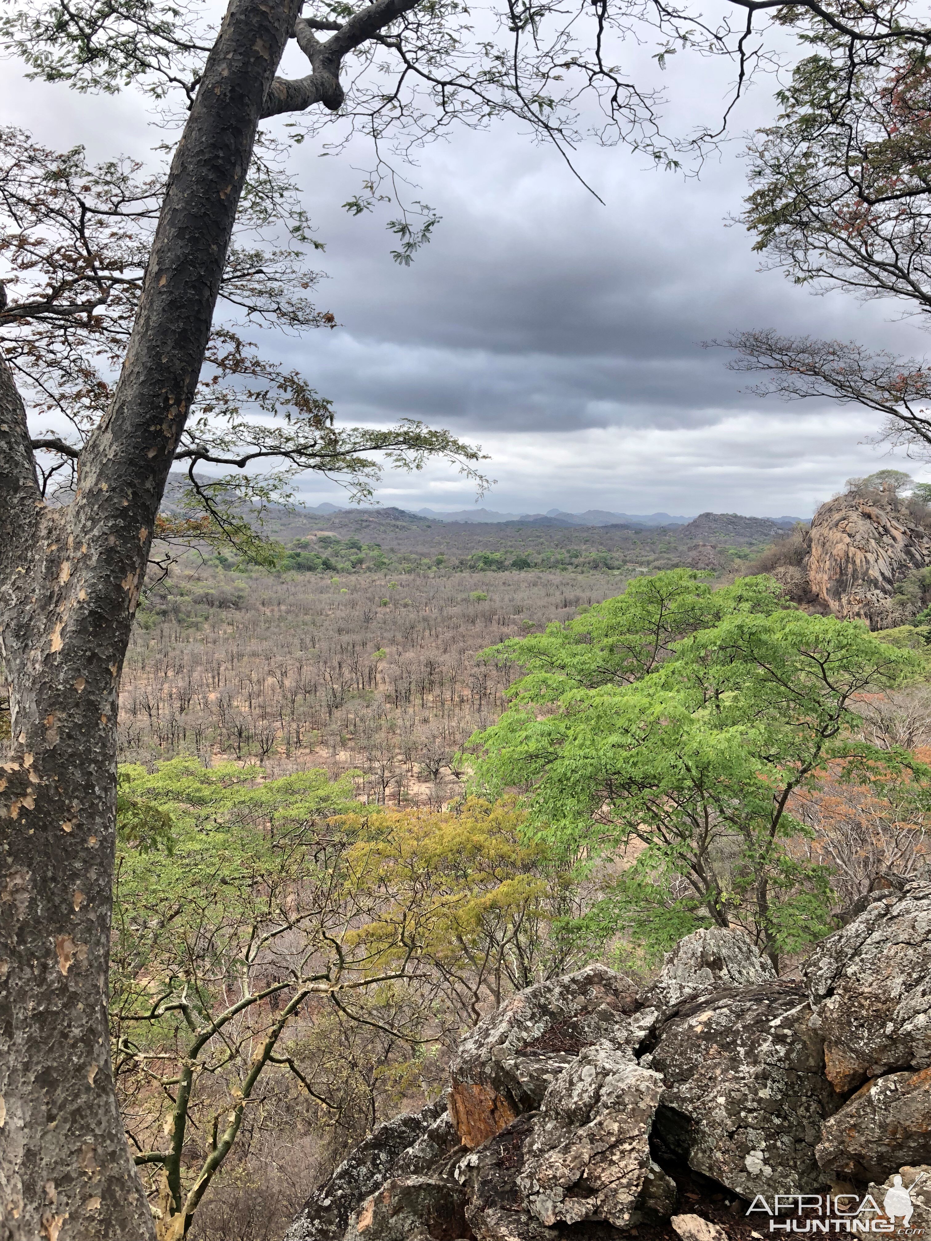 Leaden skies as we scan the area for buffalo