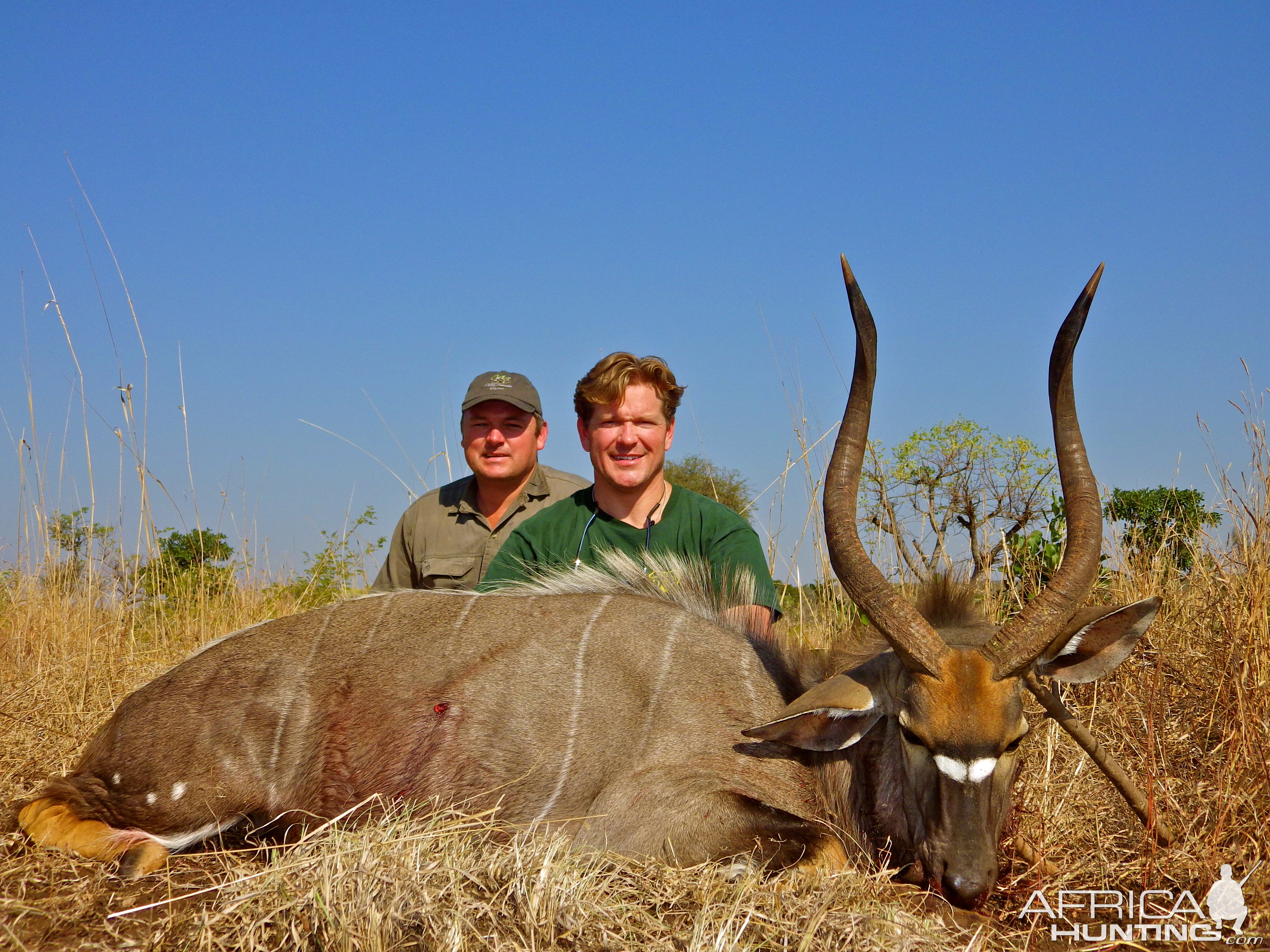 Lebombo Mozambique Hunt Nyala