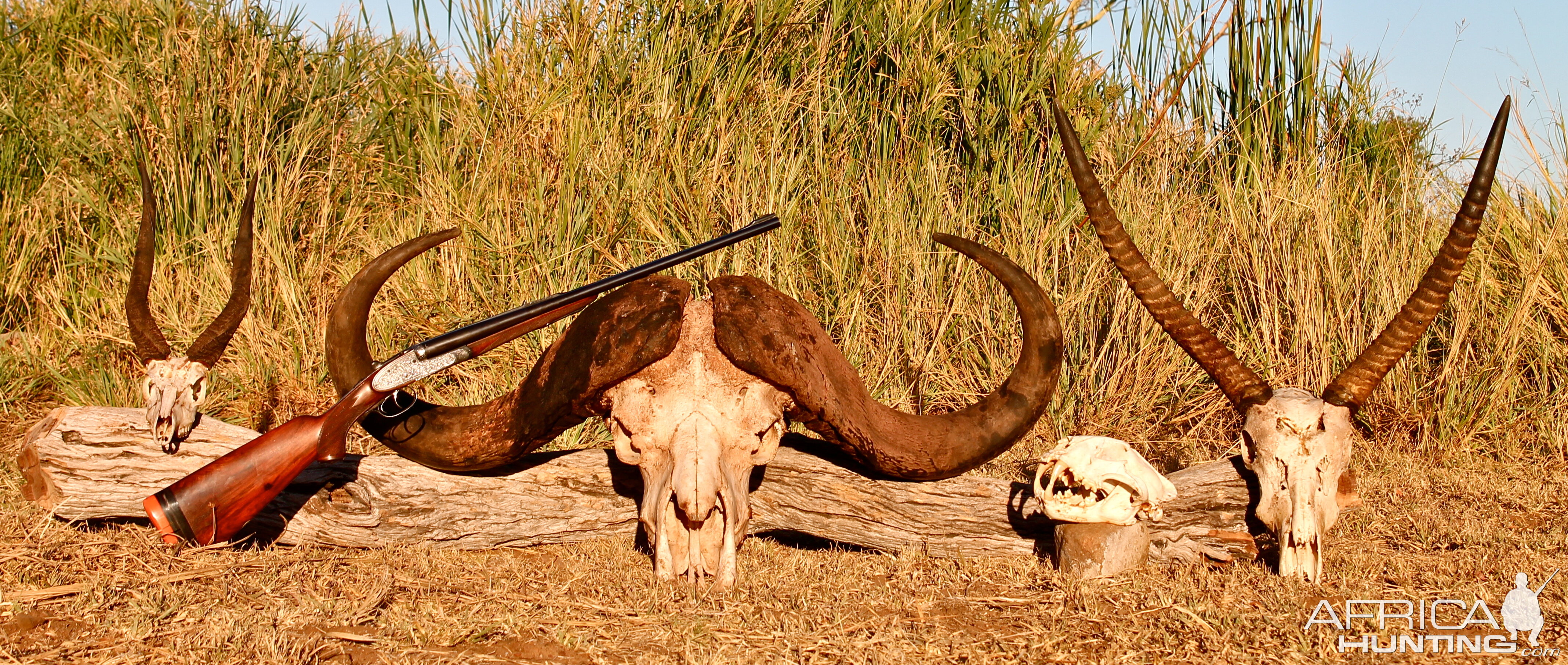 Lebombo Mozambique Hunting Trophies