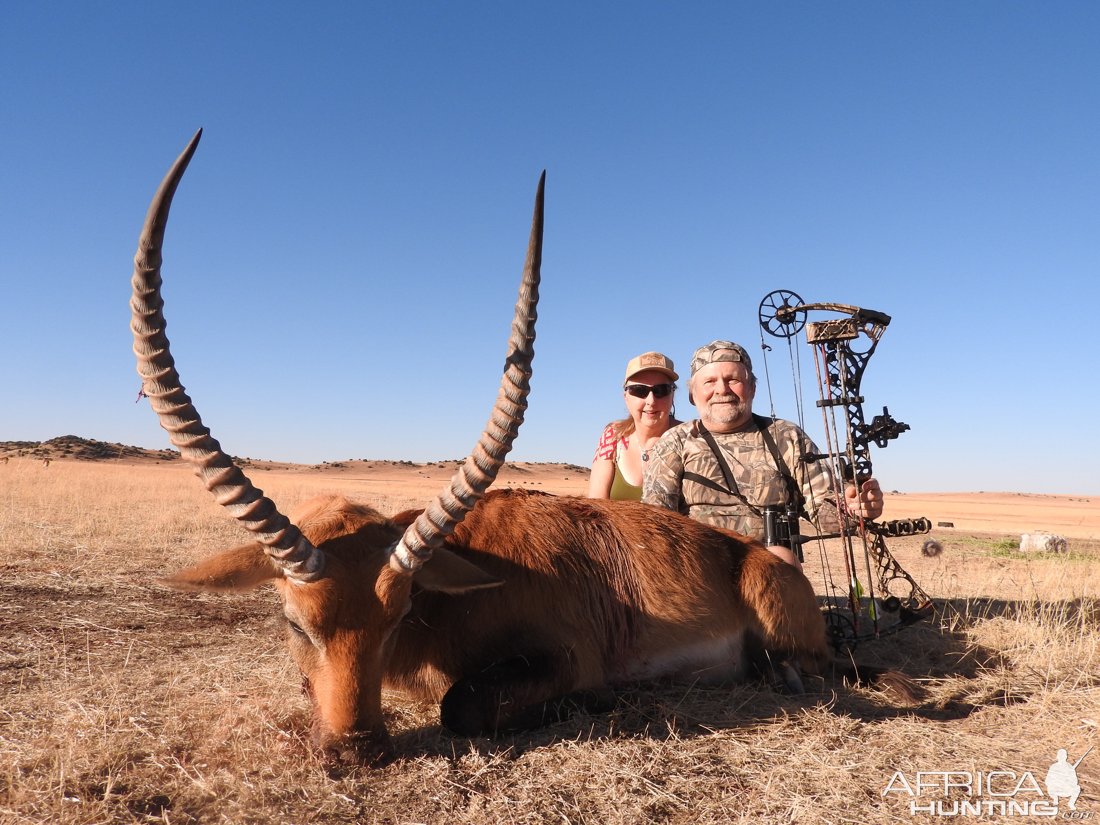 Lechwe Bow Hunt in South Africa