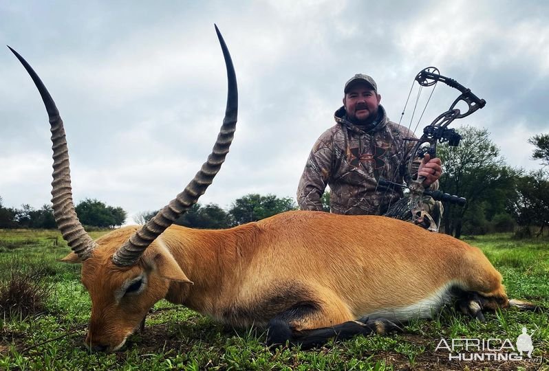 Lechwe Bow Hunt South Africa