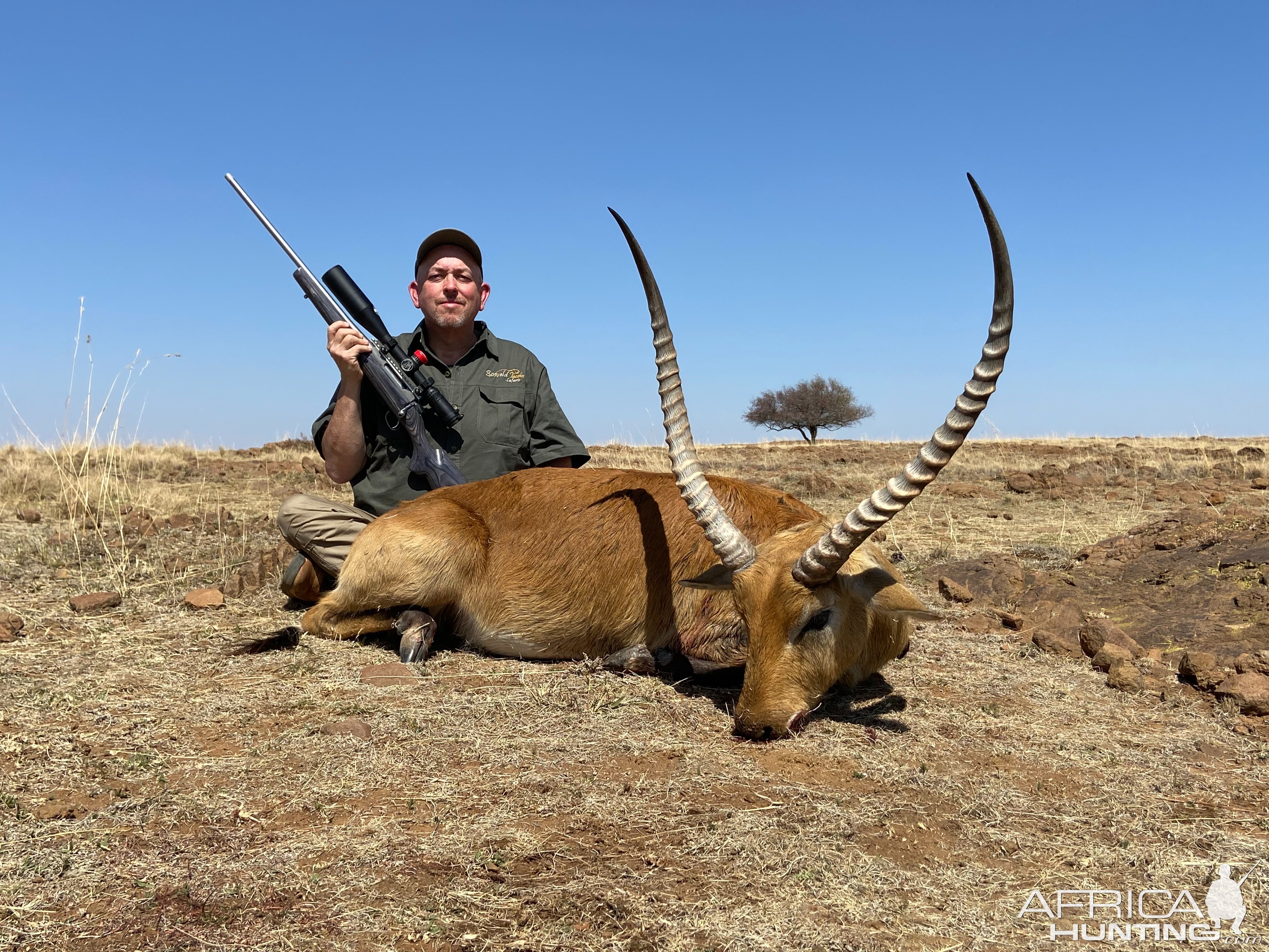 Lechwe Hunt South Africa