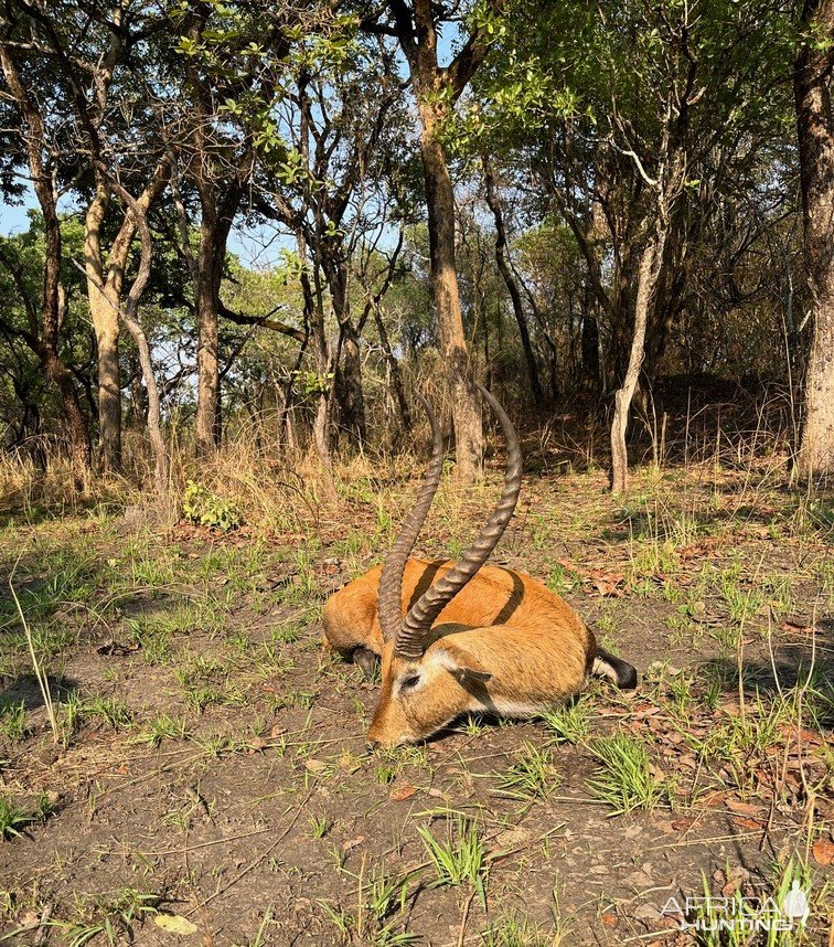 Lechwe Hunt Takeri Private Reserve Zambia