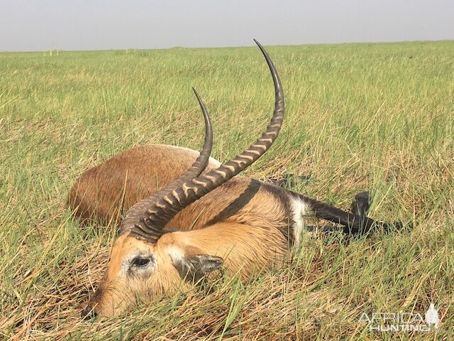 Lechwe Hunt