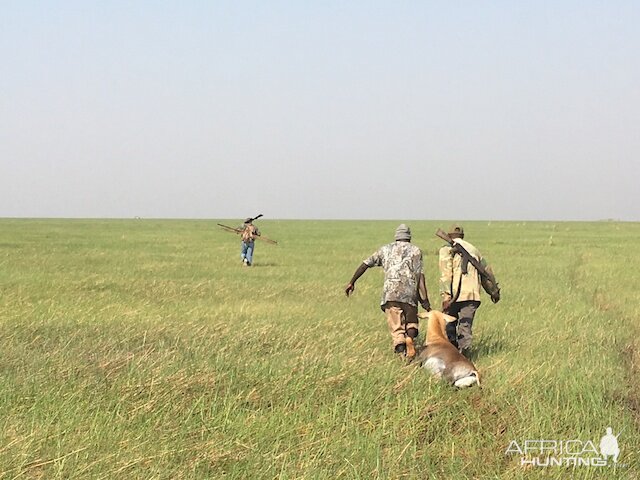 Lechwe Hunting