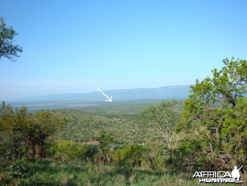 Leeukop Safaris Property in South Africa