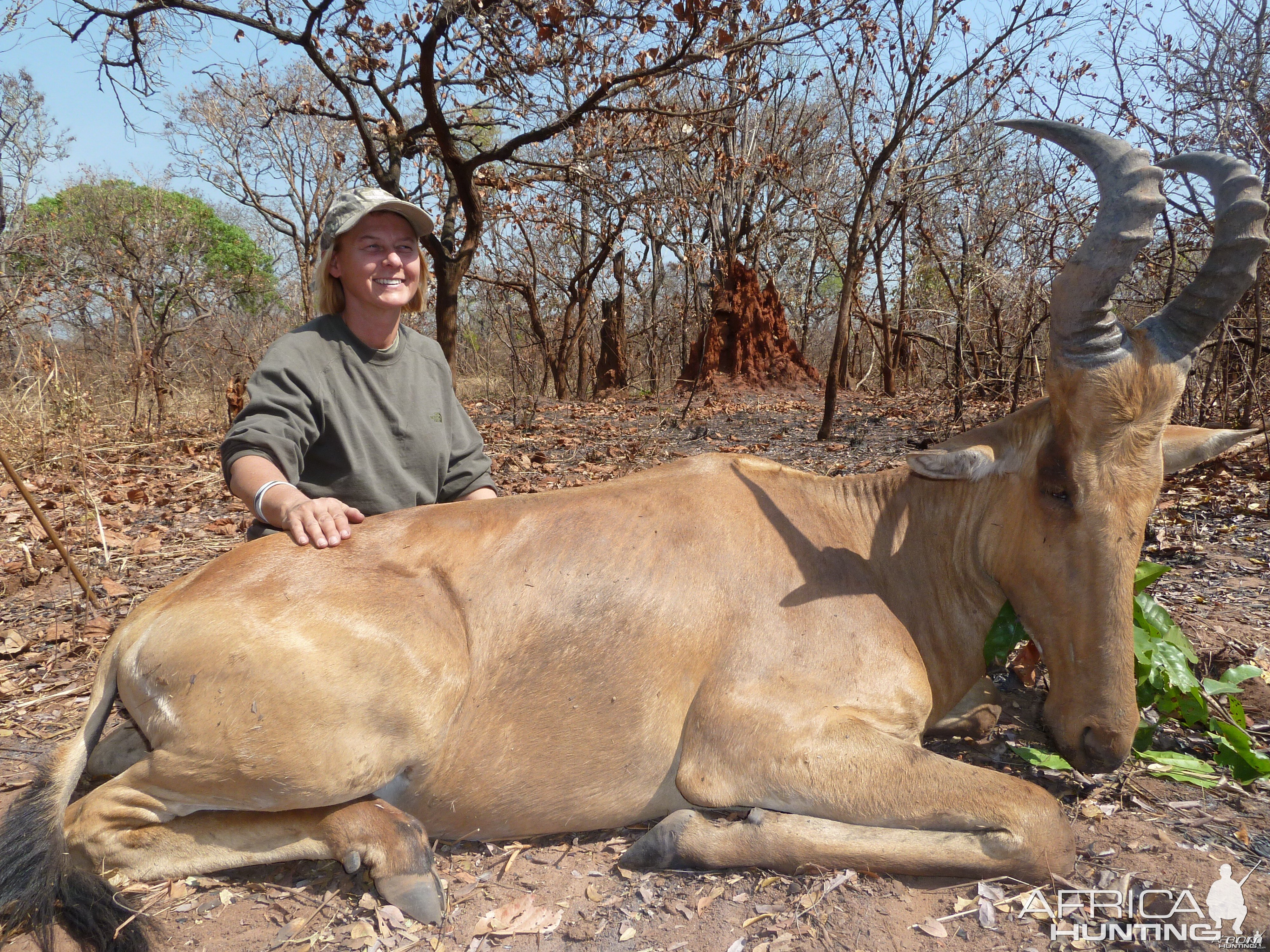 Lelwel Hartebeest hunted in Central Africa with Club Faune