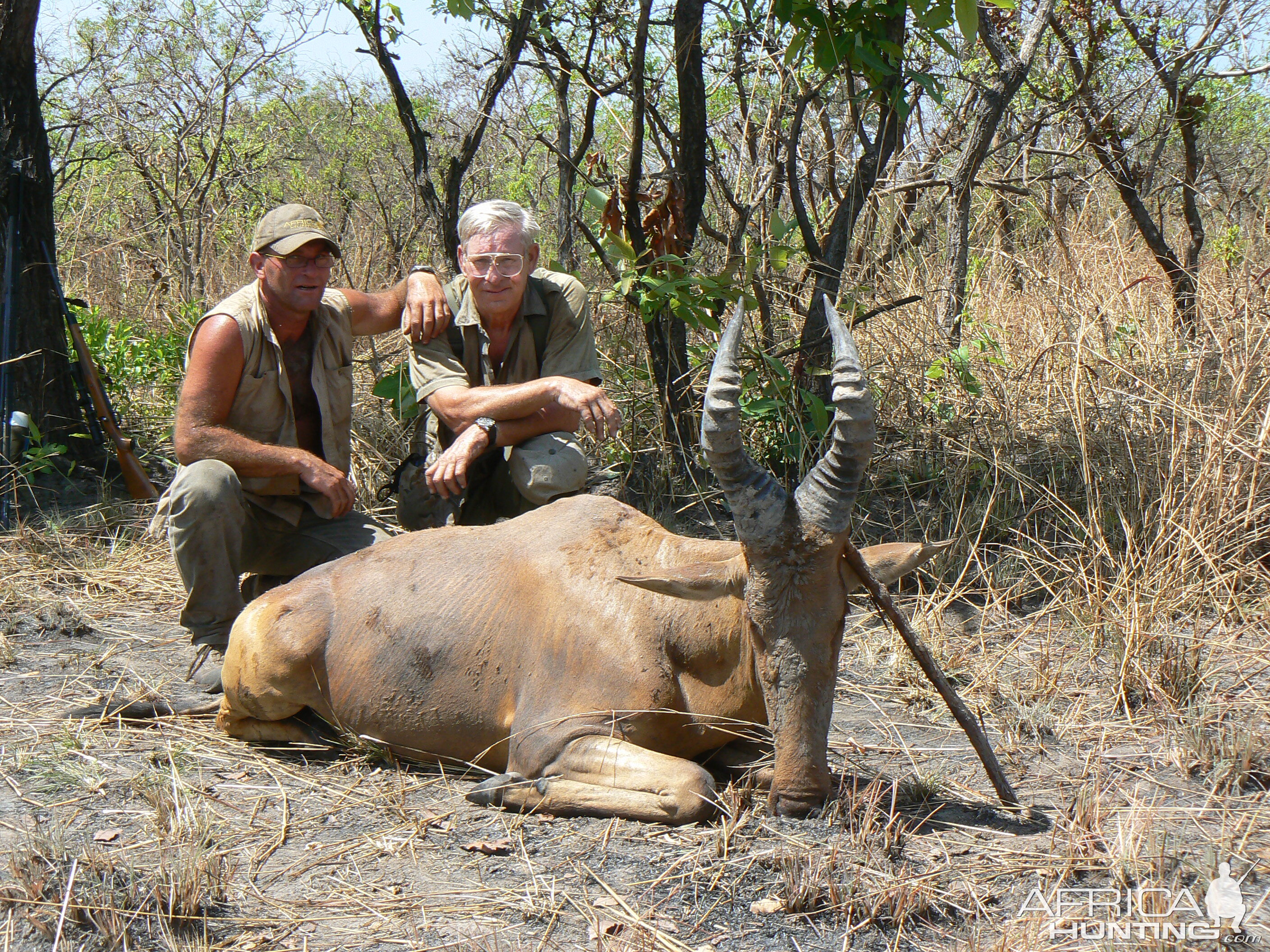 Lelwel hartebeest hunted in Central African Republic