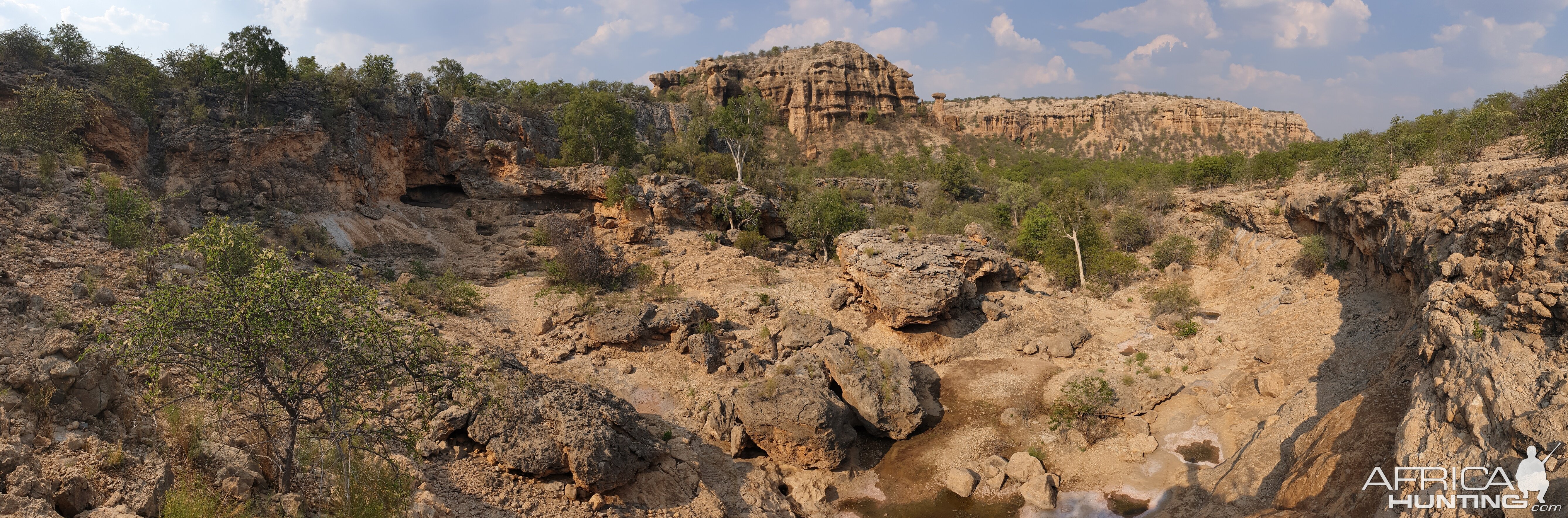 Leopard Area Namibia