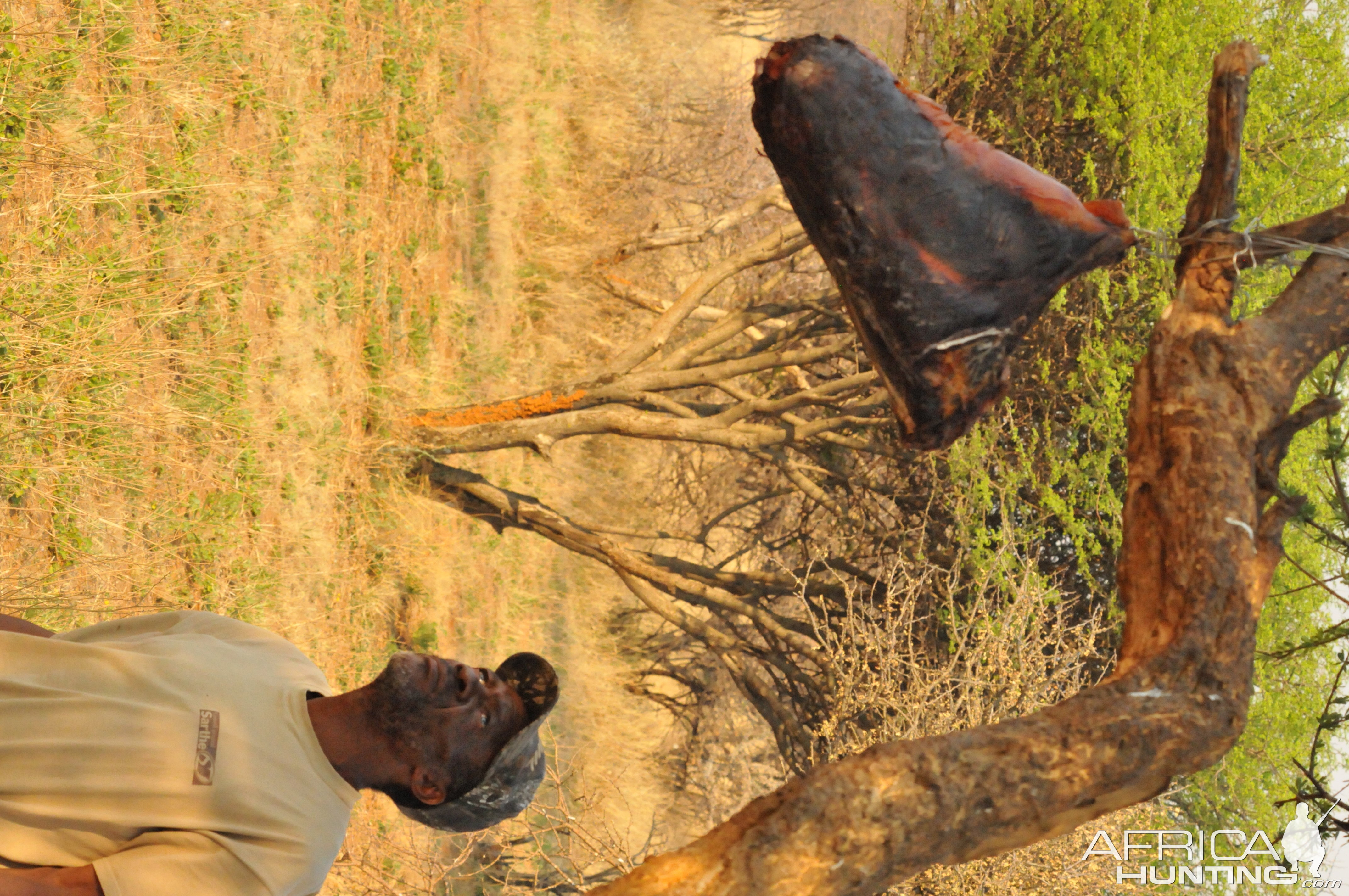 Leopard Bait Namibia