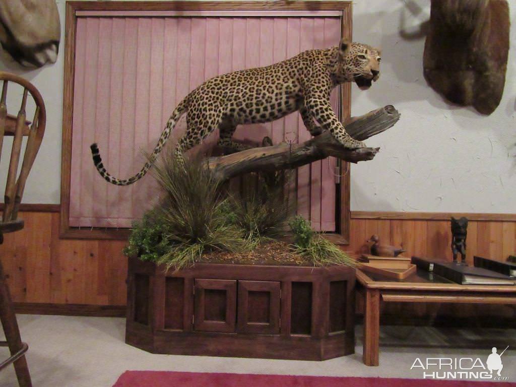 Leopard Full Mount