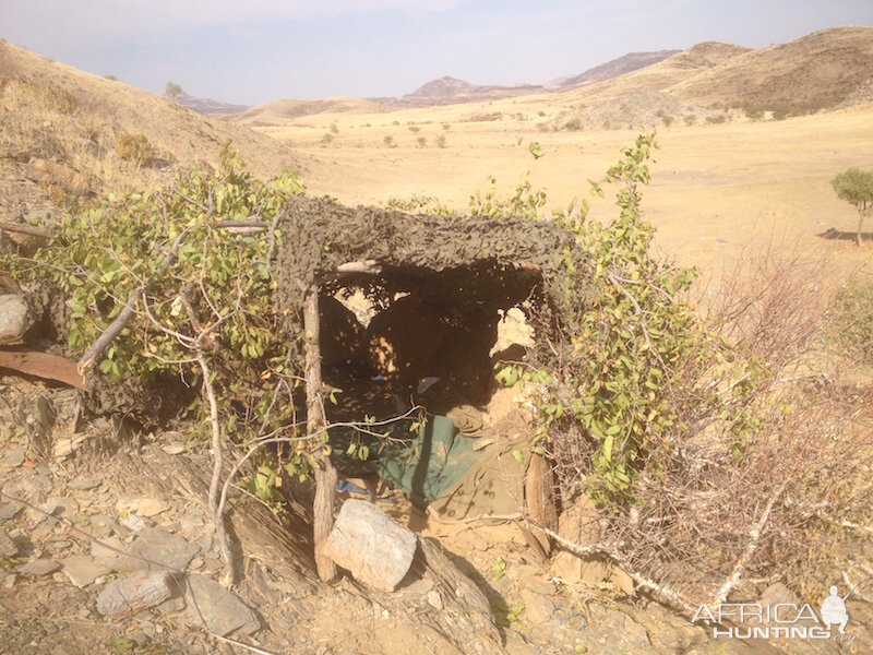 Leopard Hide Namibia