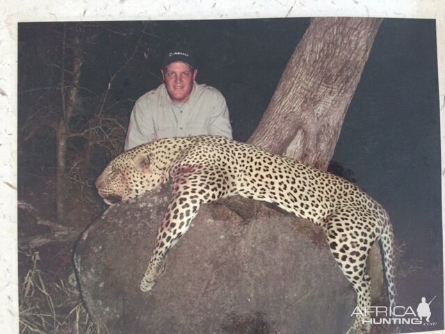 Leopard Hunt Botswana