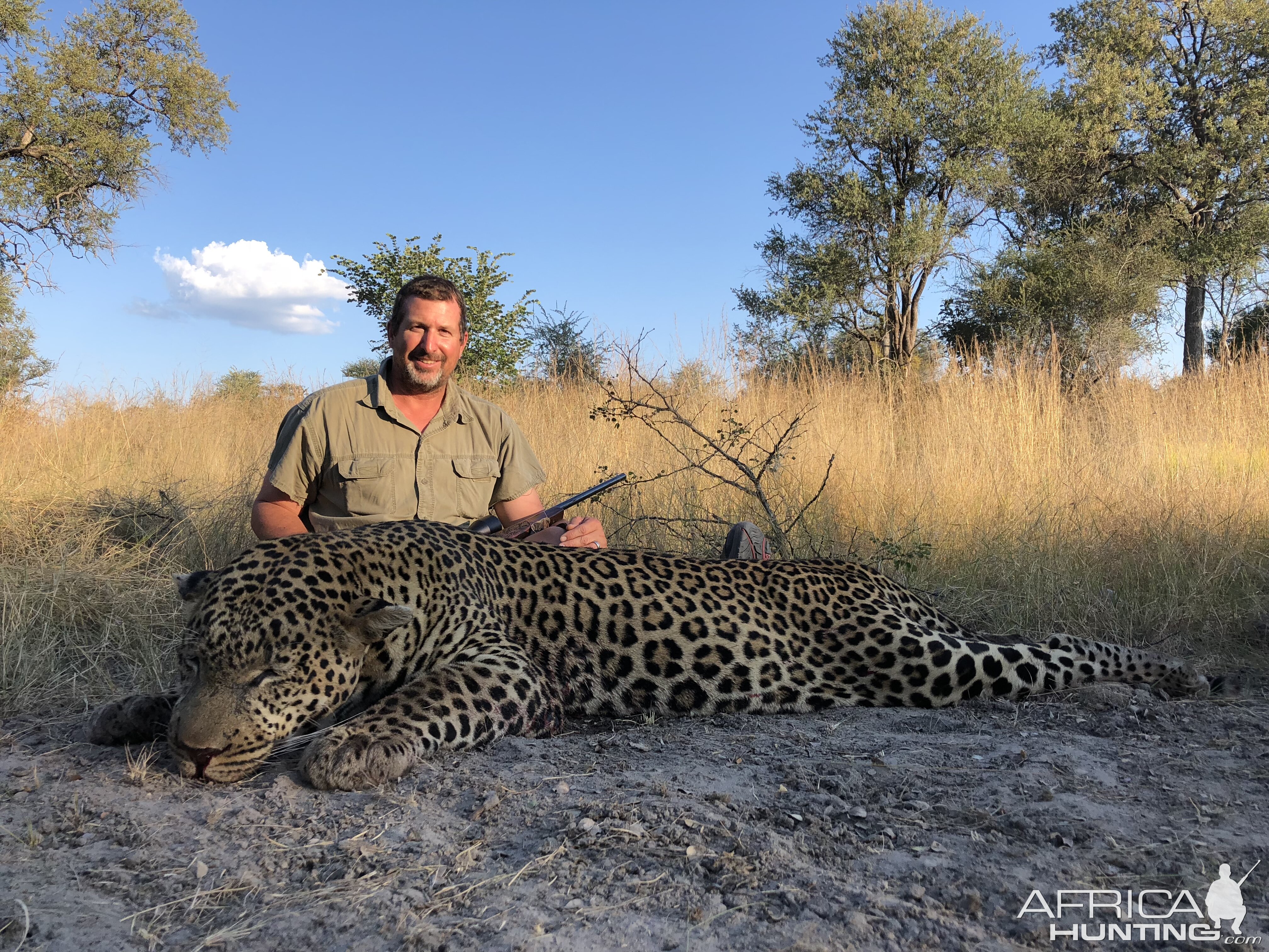 Leopard Hunt Caprivi Bwabwata National Park Namibia