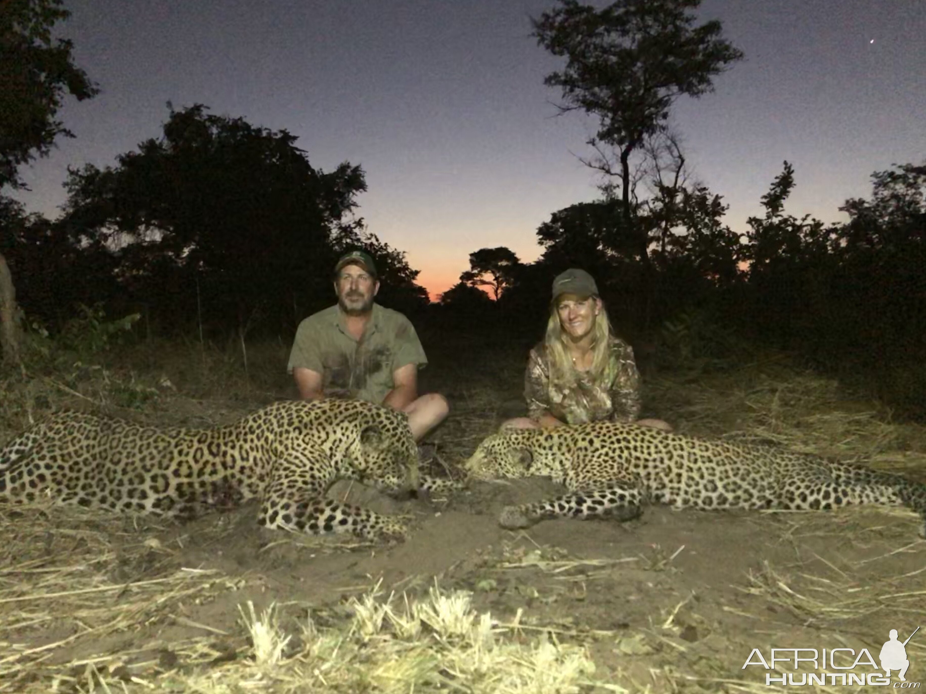 Leopard Hunt Caprivi Bwabwata National Park Namibia