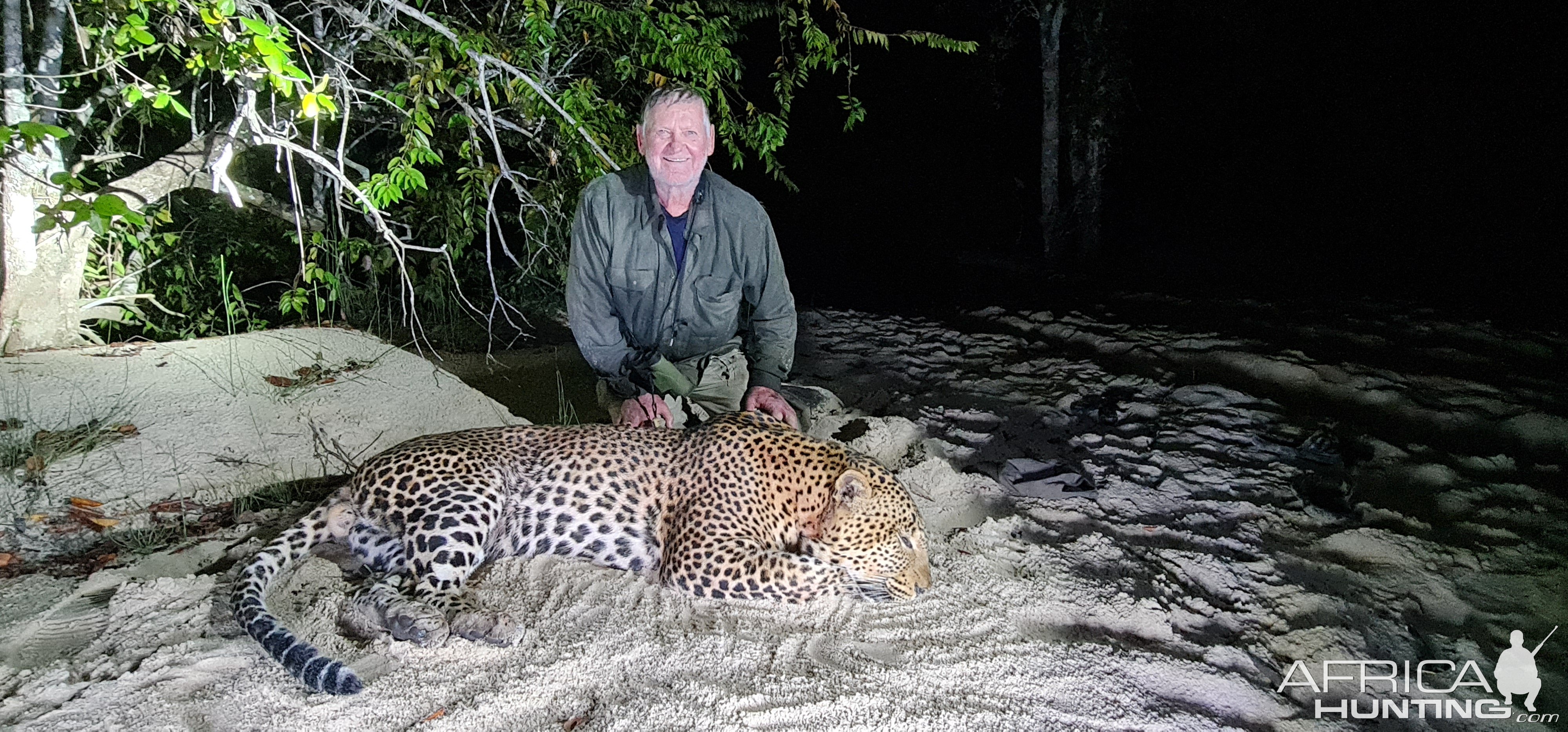 Leopard Hunt Coastal Forests Of Mozambique