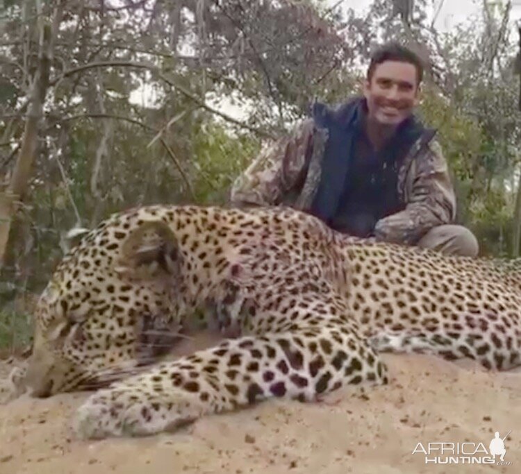 Leopard Hunt In Niassa Mozambique