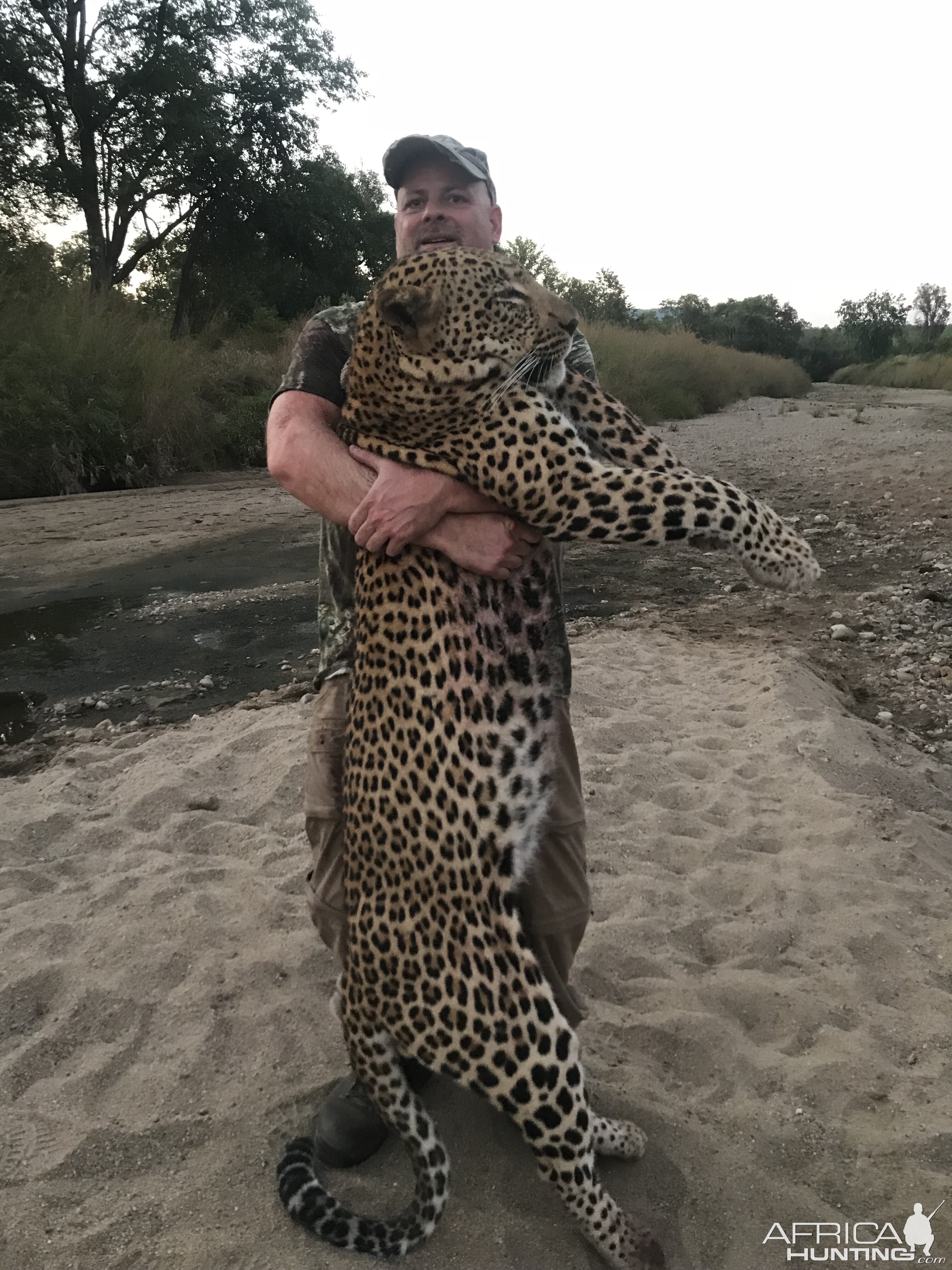 Leopard Hunt in South Africa