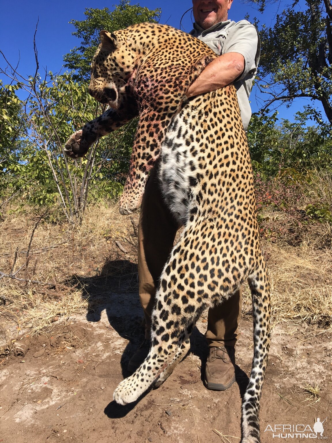 Leopard Hunt in Zimbabwe