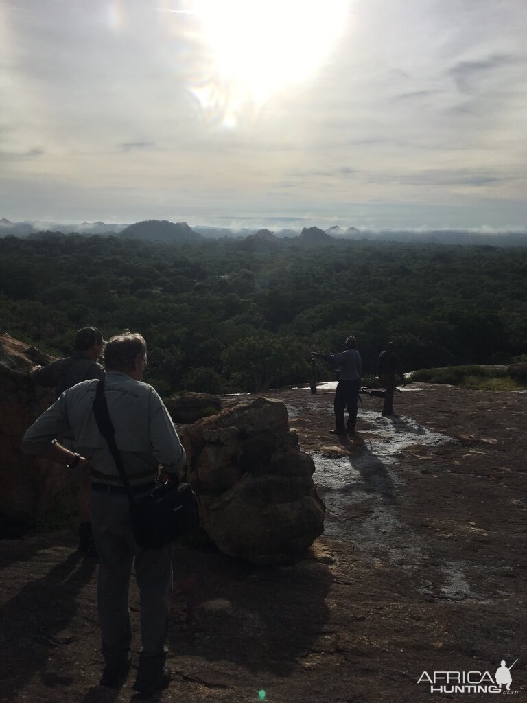 Leopard Hunt in Zimbabwe