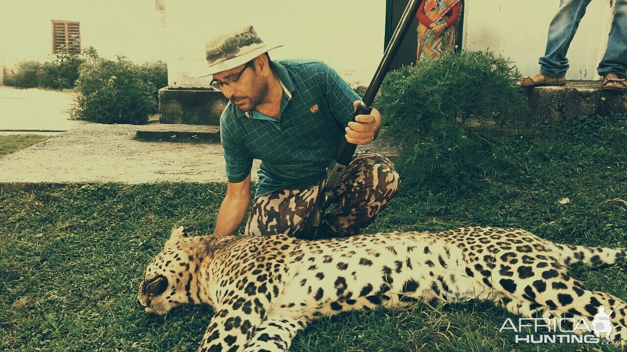 Leopard Hunt India