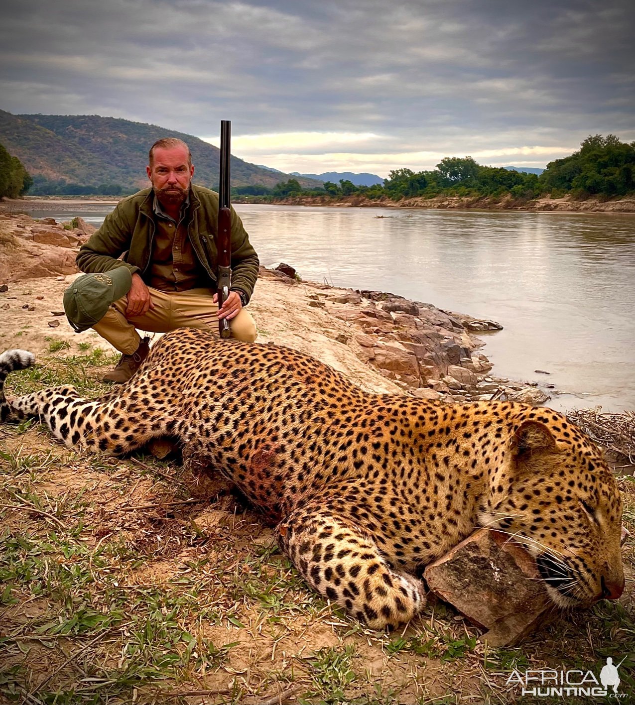 Leopard Hunt Luangwa Valley Zambia