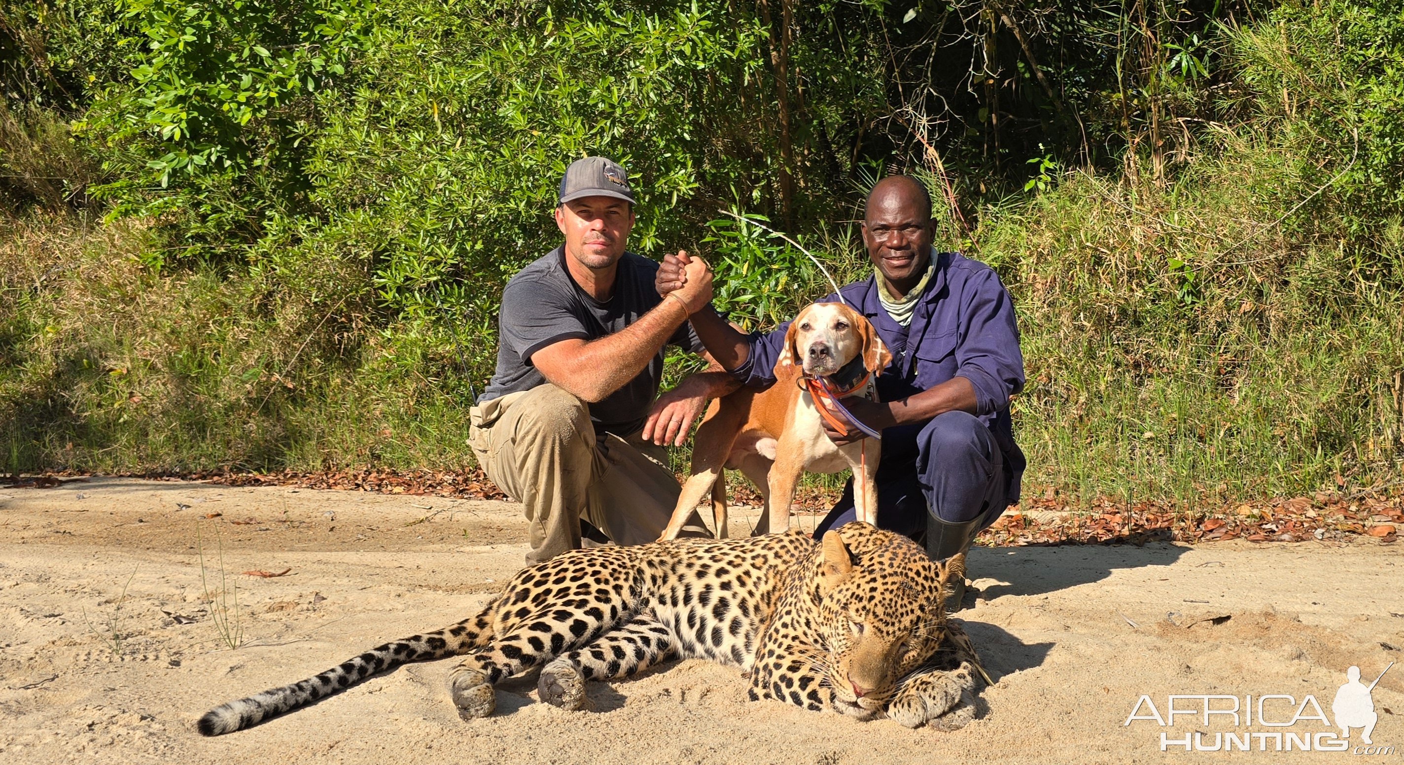 Leopard Hunt Mozambique