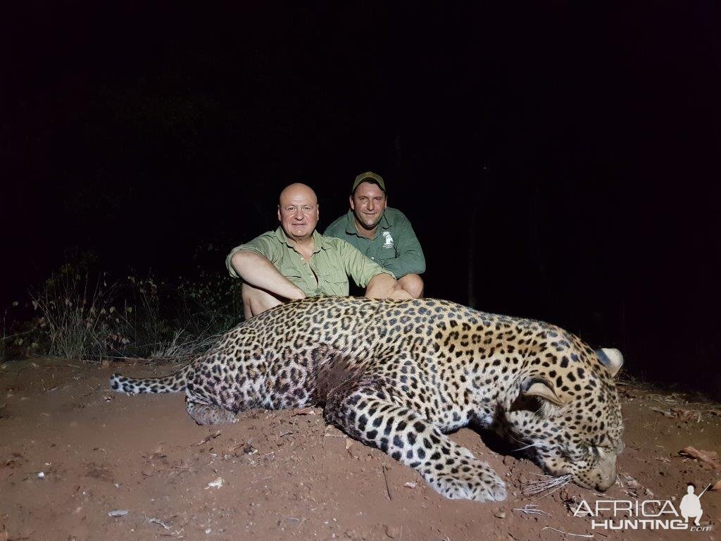 Leopard Hunt Mozambique