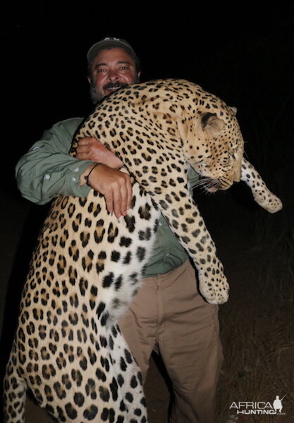 Leopard Hunt Nambia