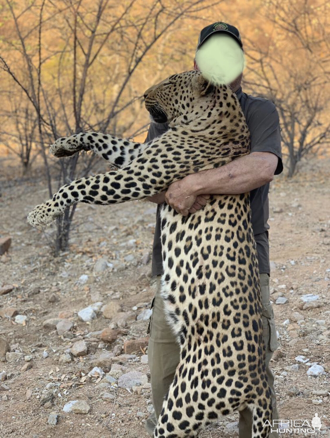 Leopard Hunt Namibia