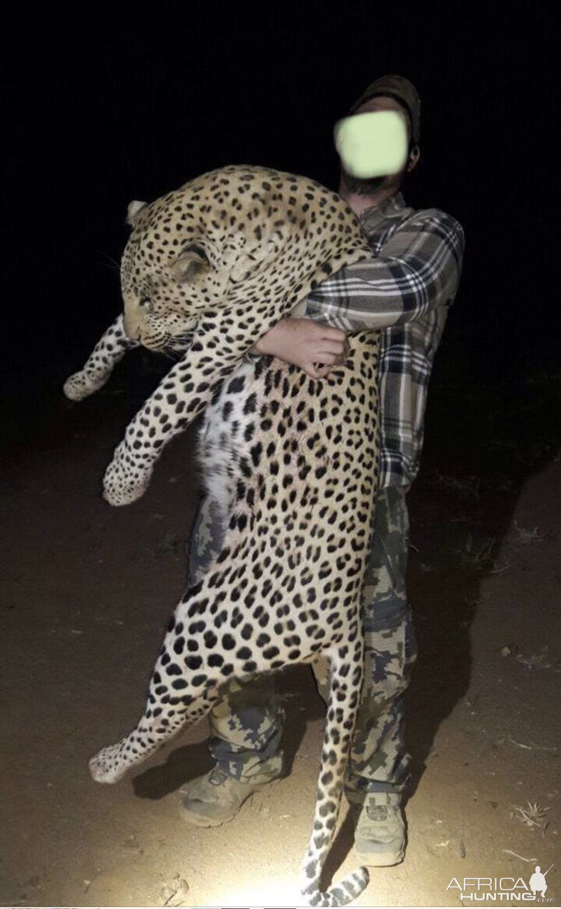 Leopard Hunt Namibia