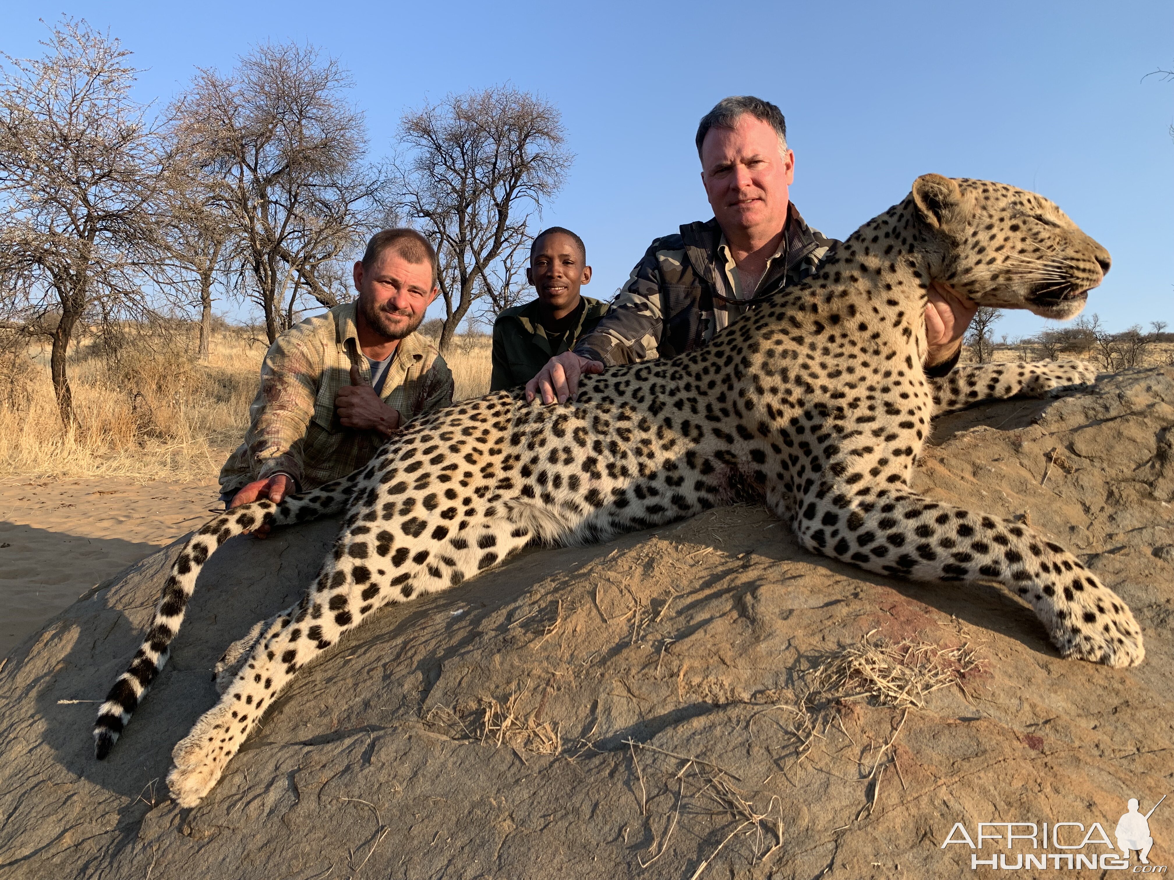 Leopard Hunt Namibia