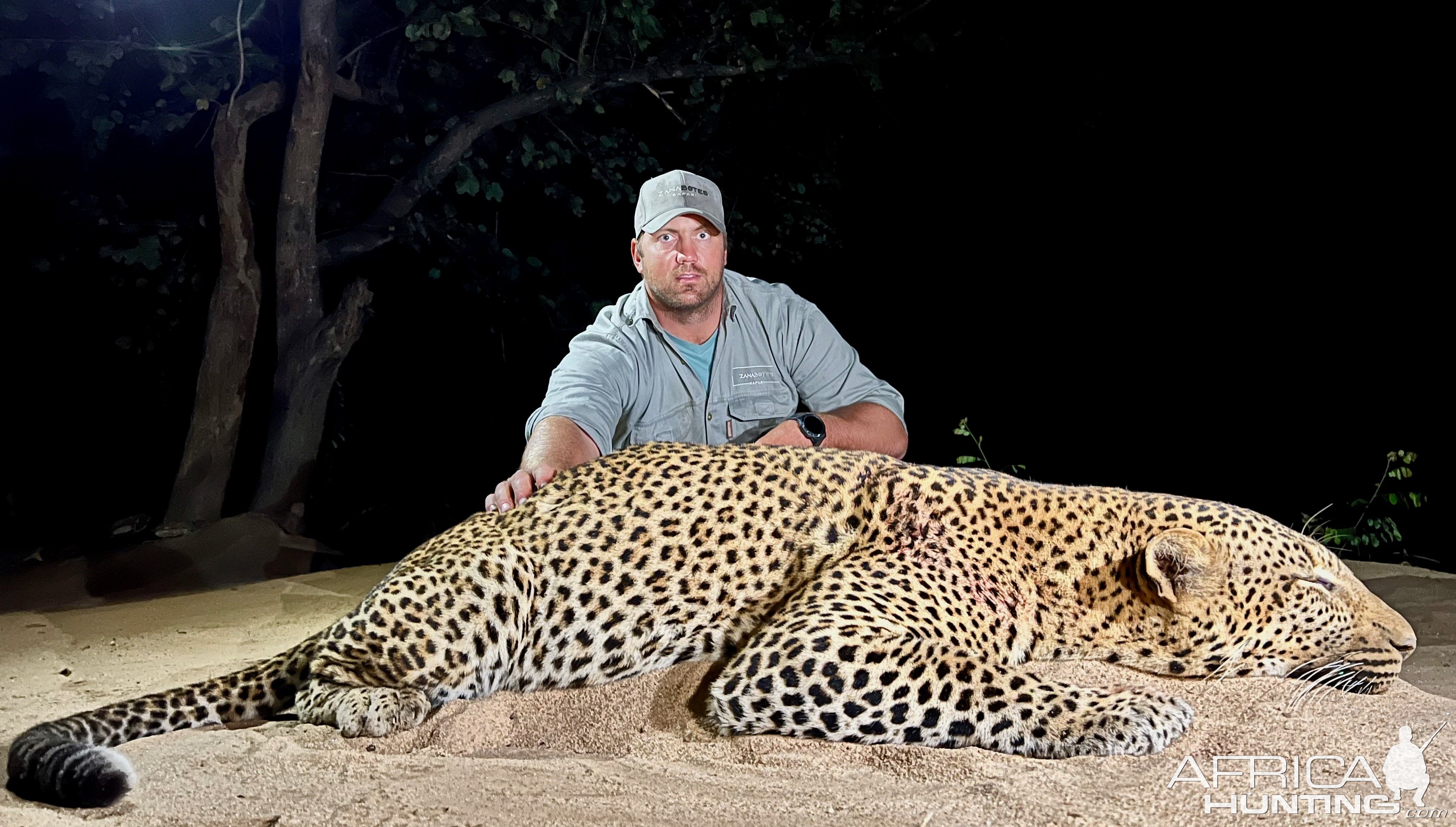 Leopard Hunt Namibia