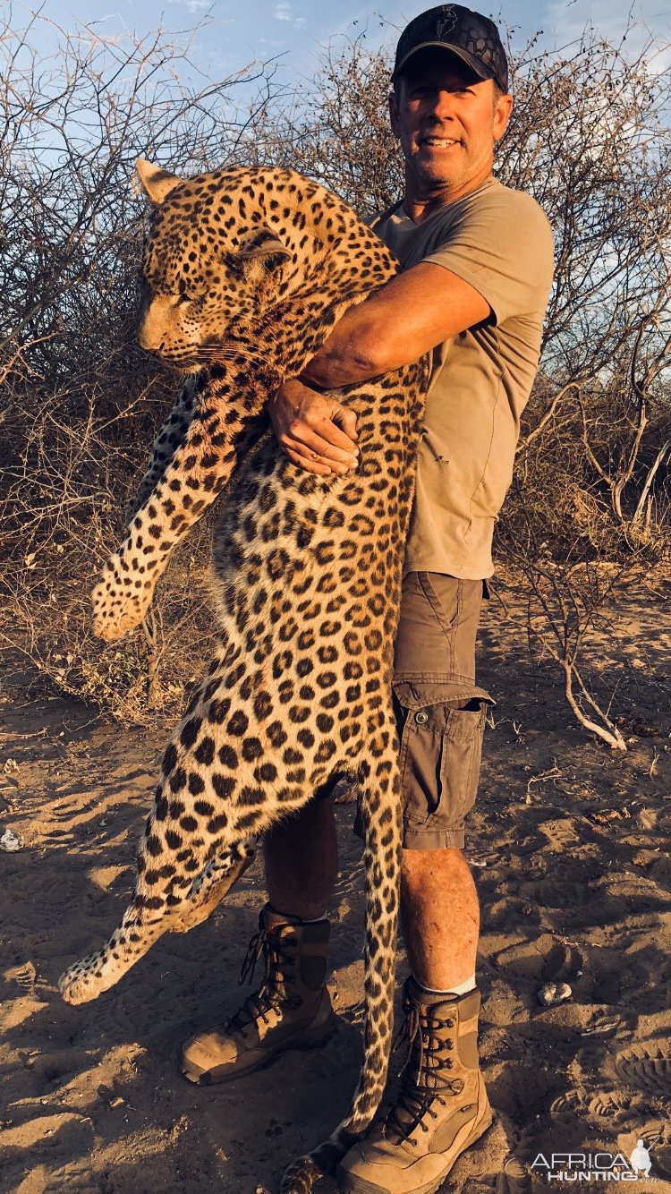 Leopard Hunt Namibia