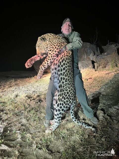 Leopard Hunt Namibia