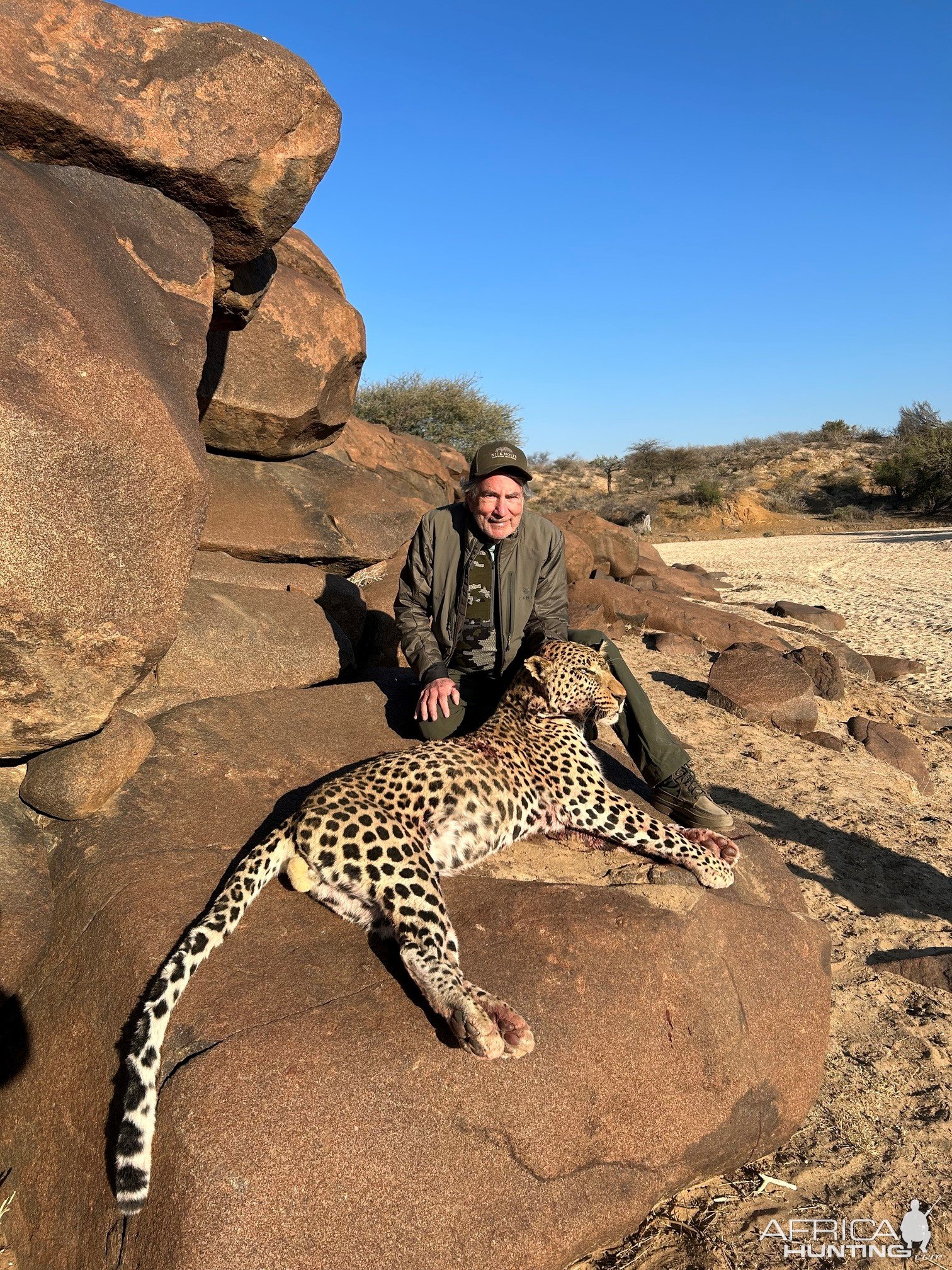 Leopard Hunt Namibia