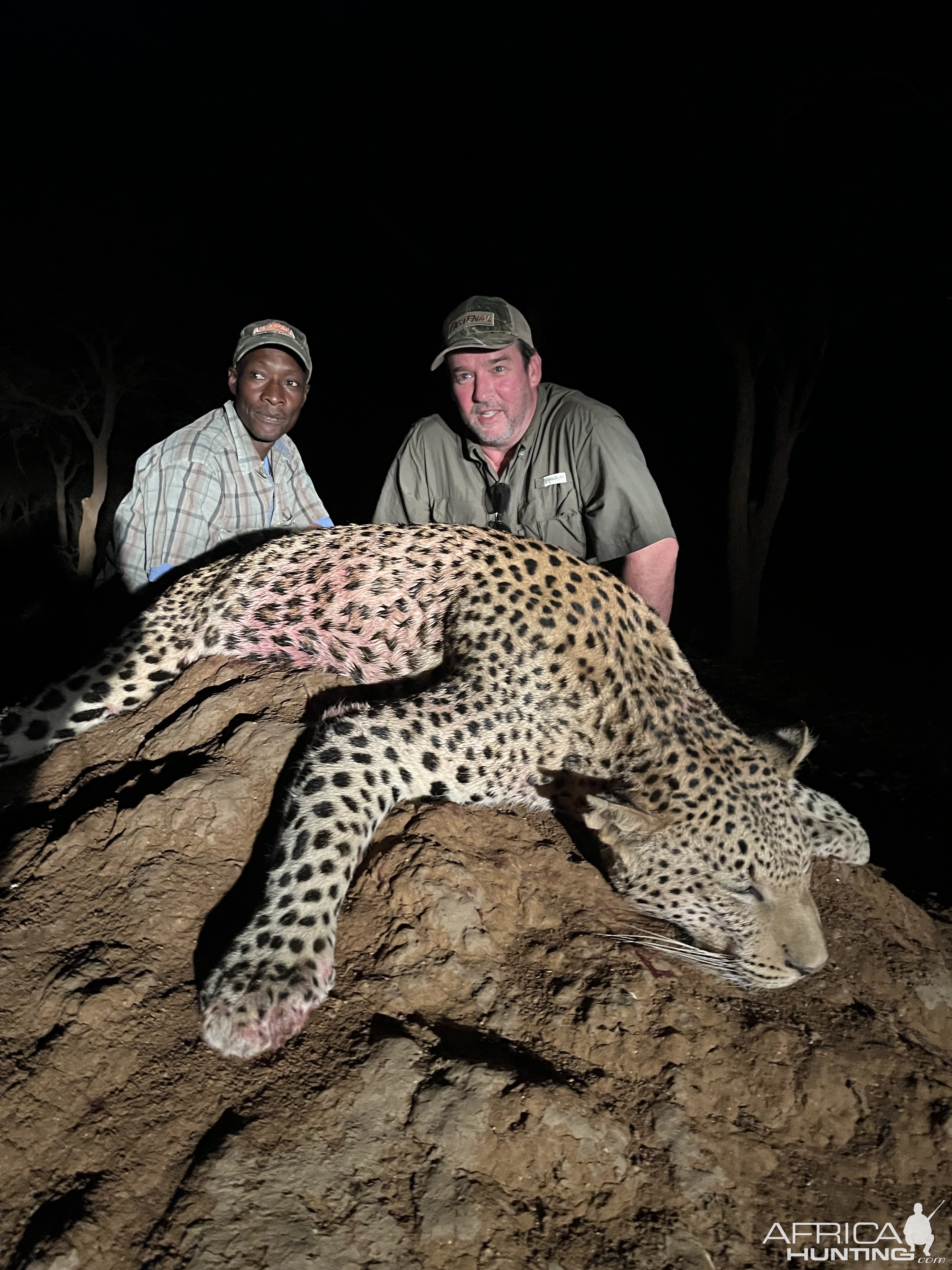 Leopard Hunt Namibia`