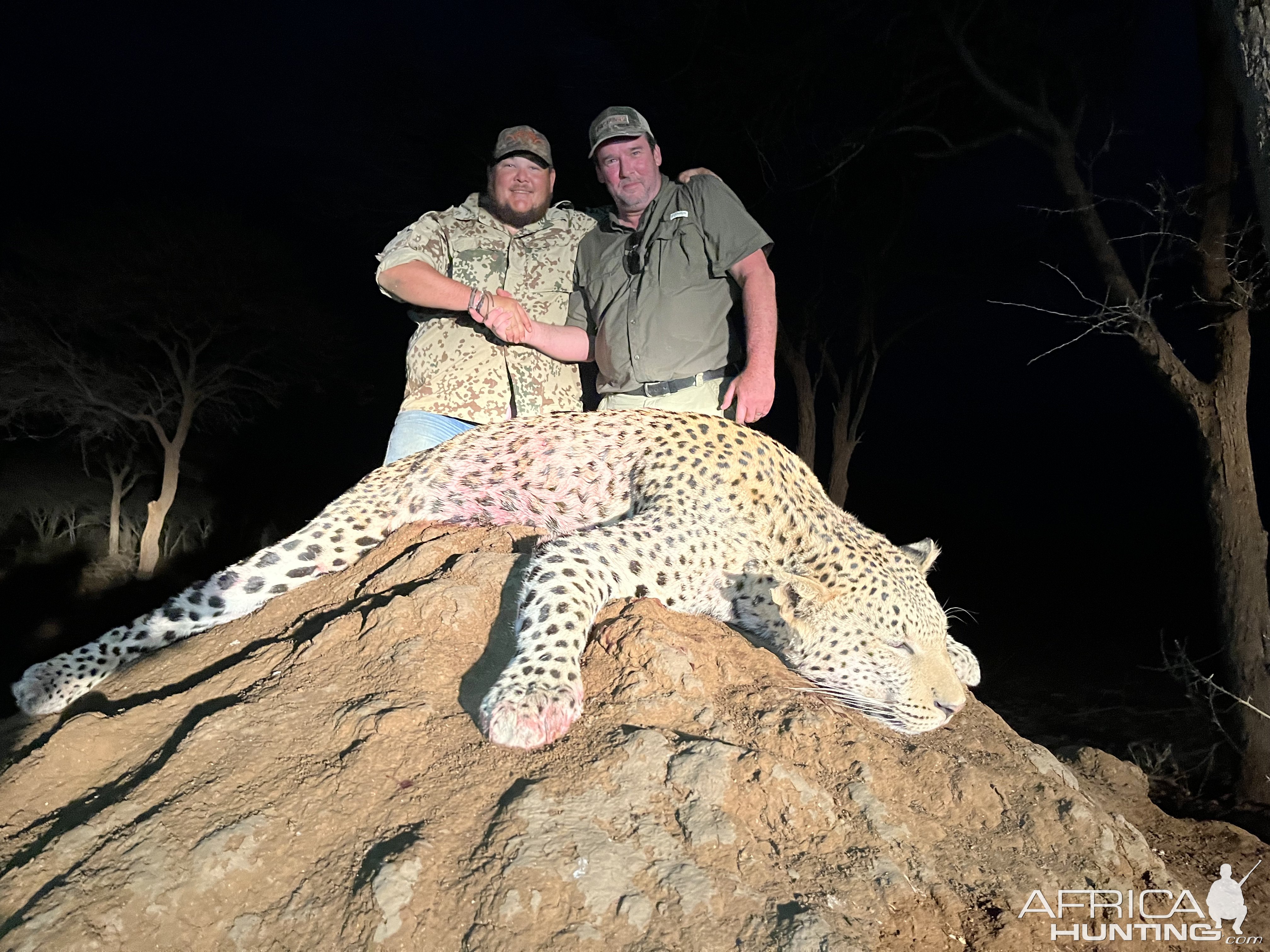 Leopard Hunt Namibia