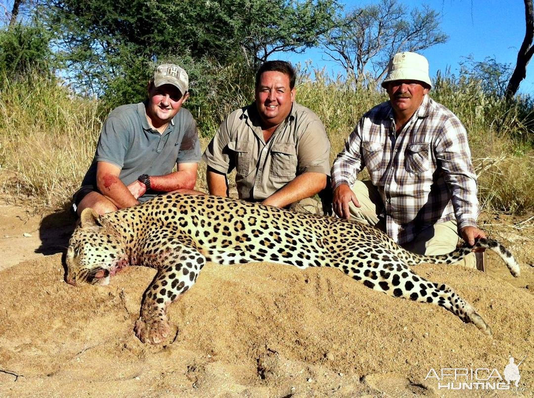 Leopard Hunt Namibia