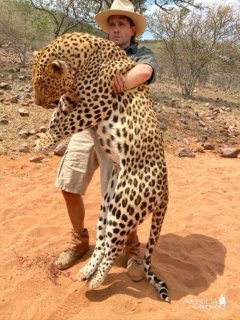 Leopard Hunt Namibia