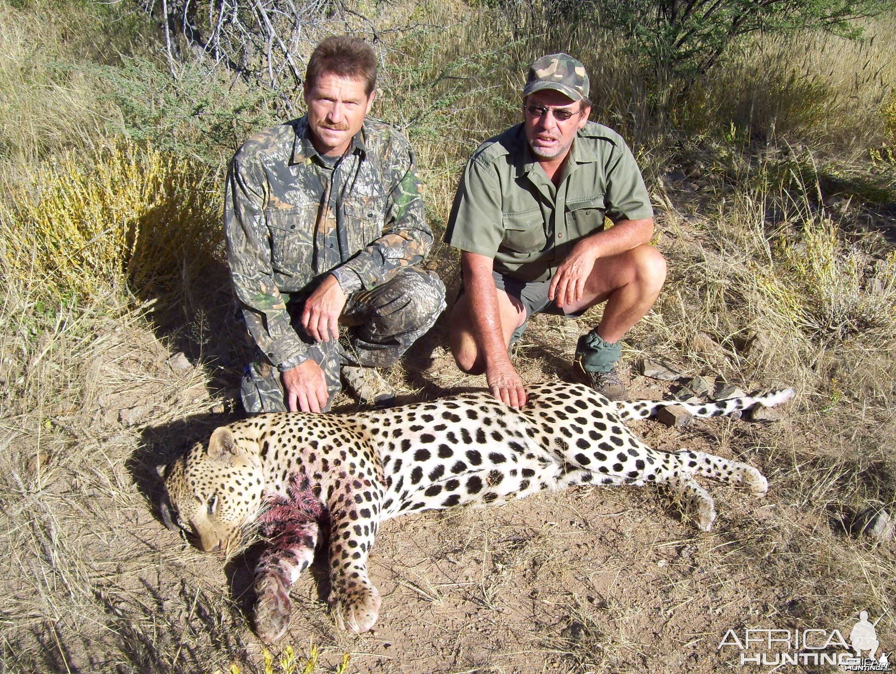 Leopard Hunt Namibia