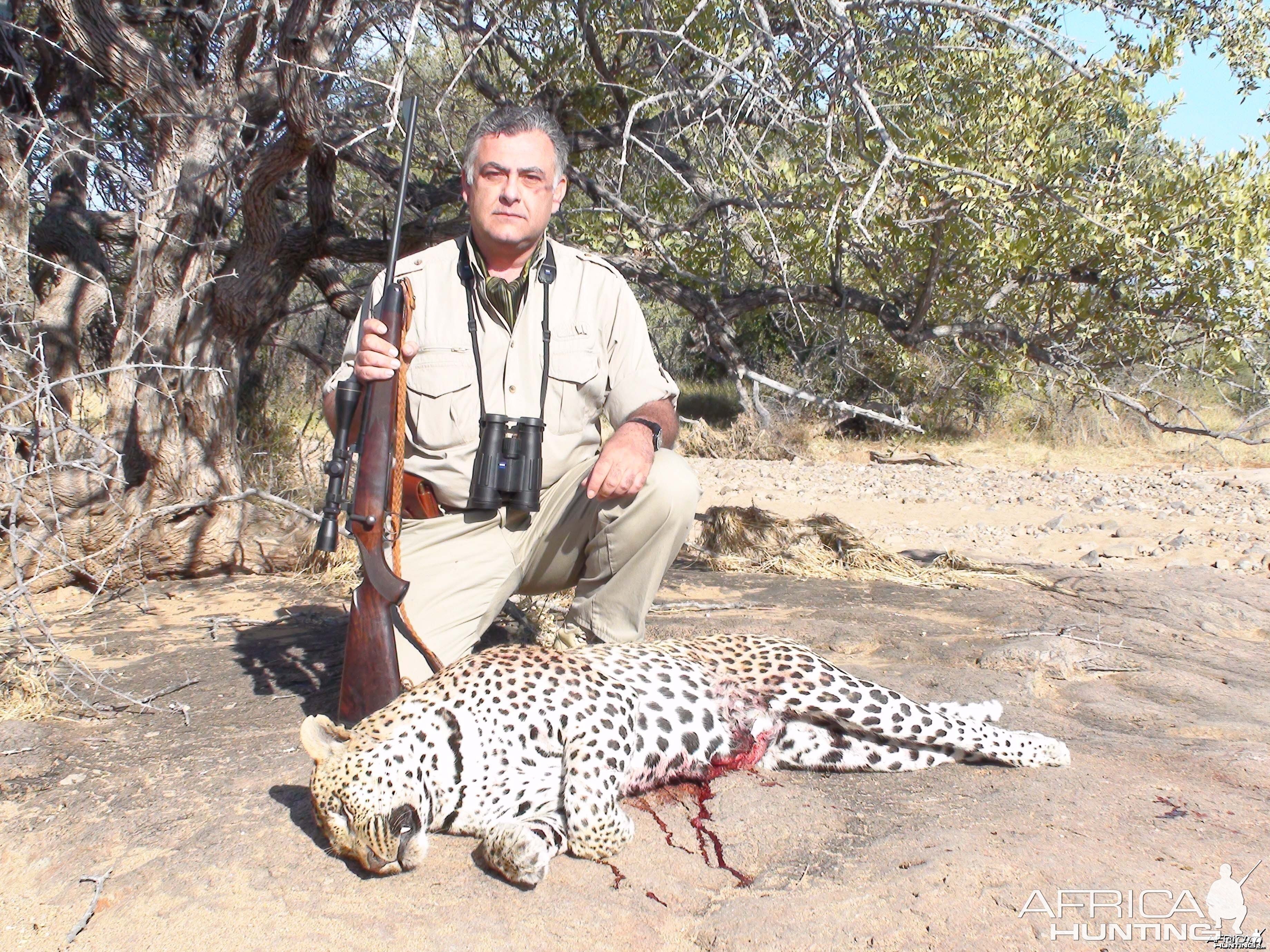 Leopard Hunt Namibia