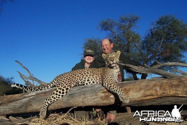 Leopard Hunt Namibia