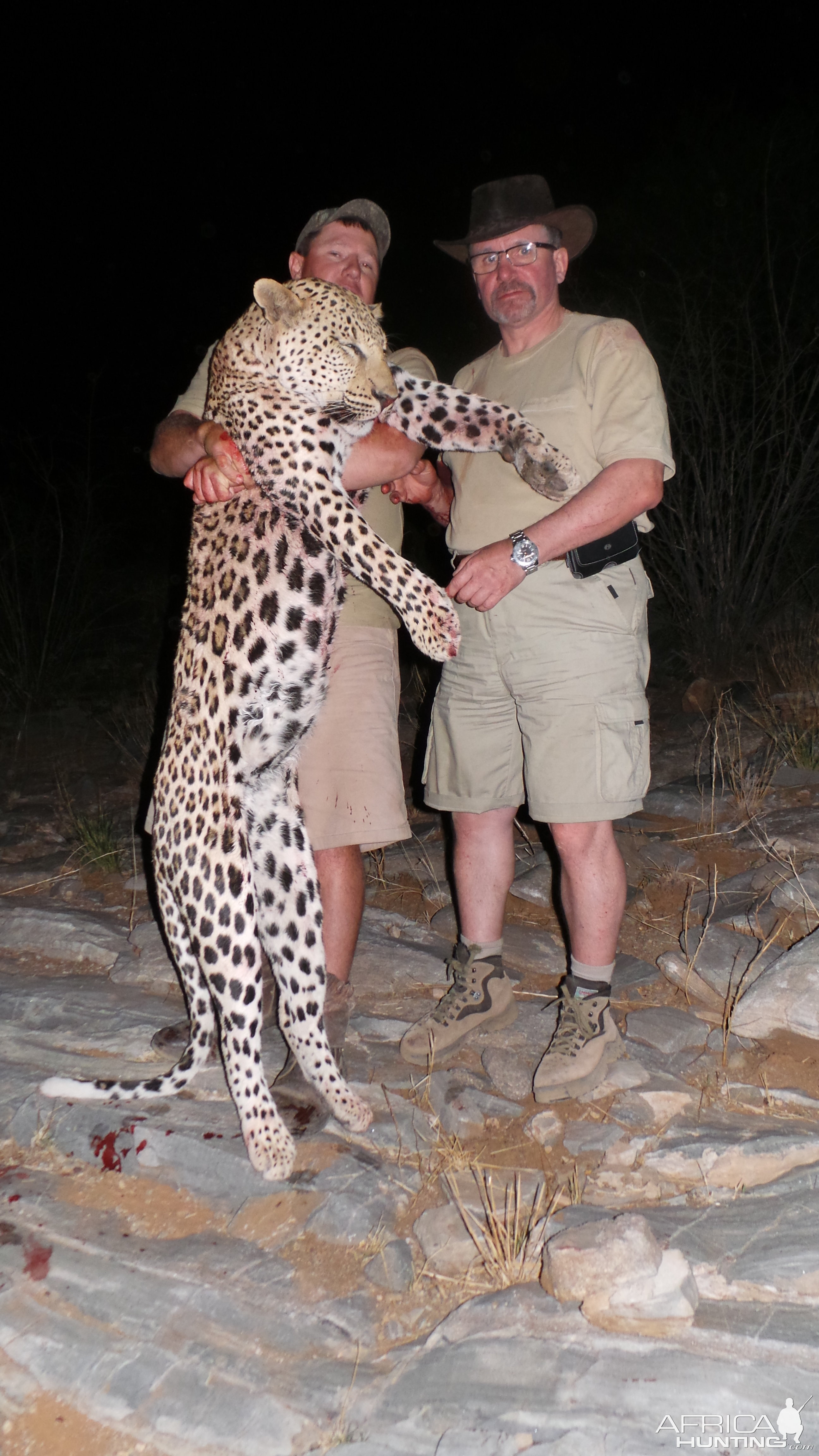 Leopard Hunt Namibia