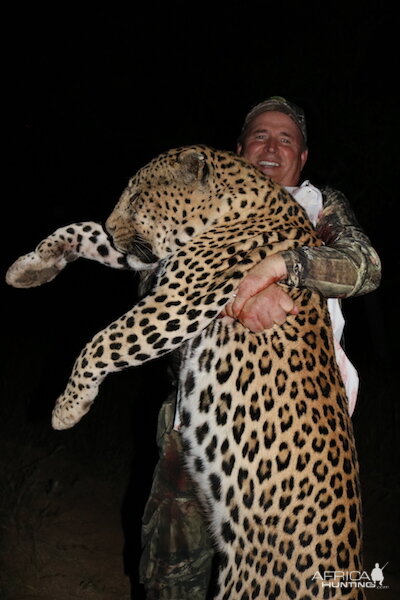 Leopard Hunt Namibia