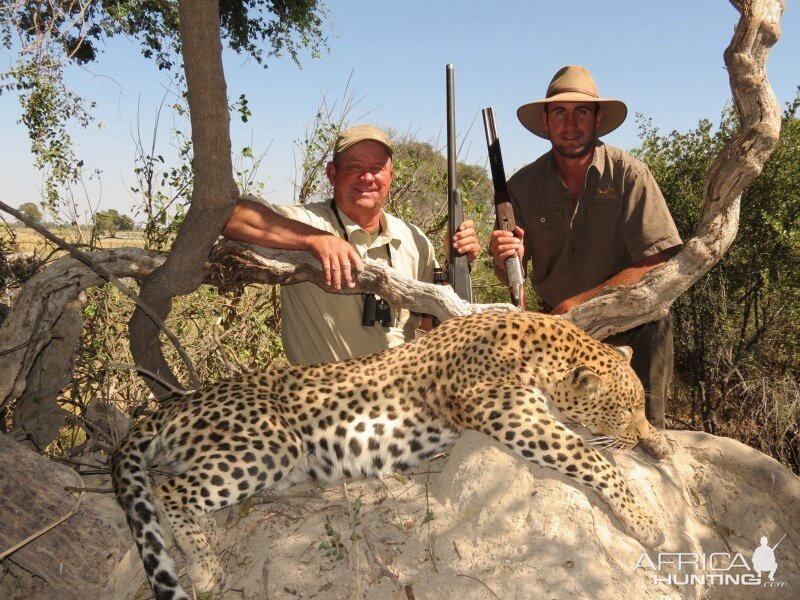 Leopard Hunt Namibia