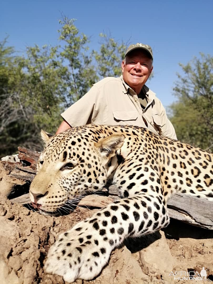 Leopard Hunt Namibia