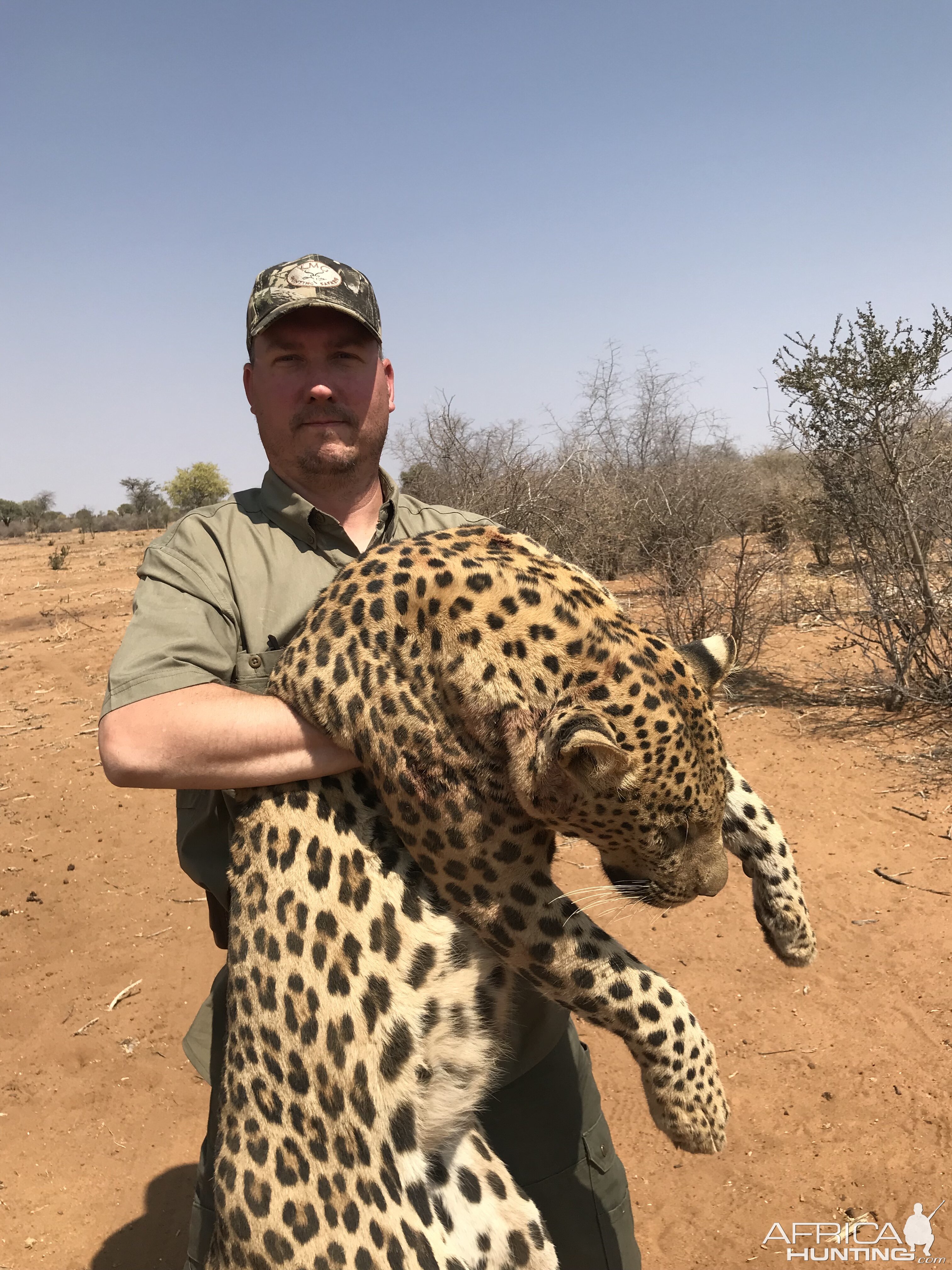 Leopard Hunt Namibia