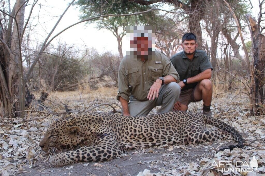 Leopard Hunt Namibia