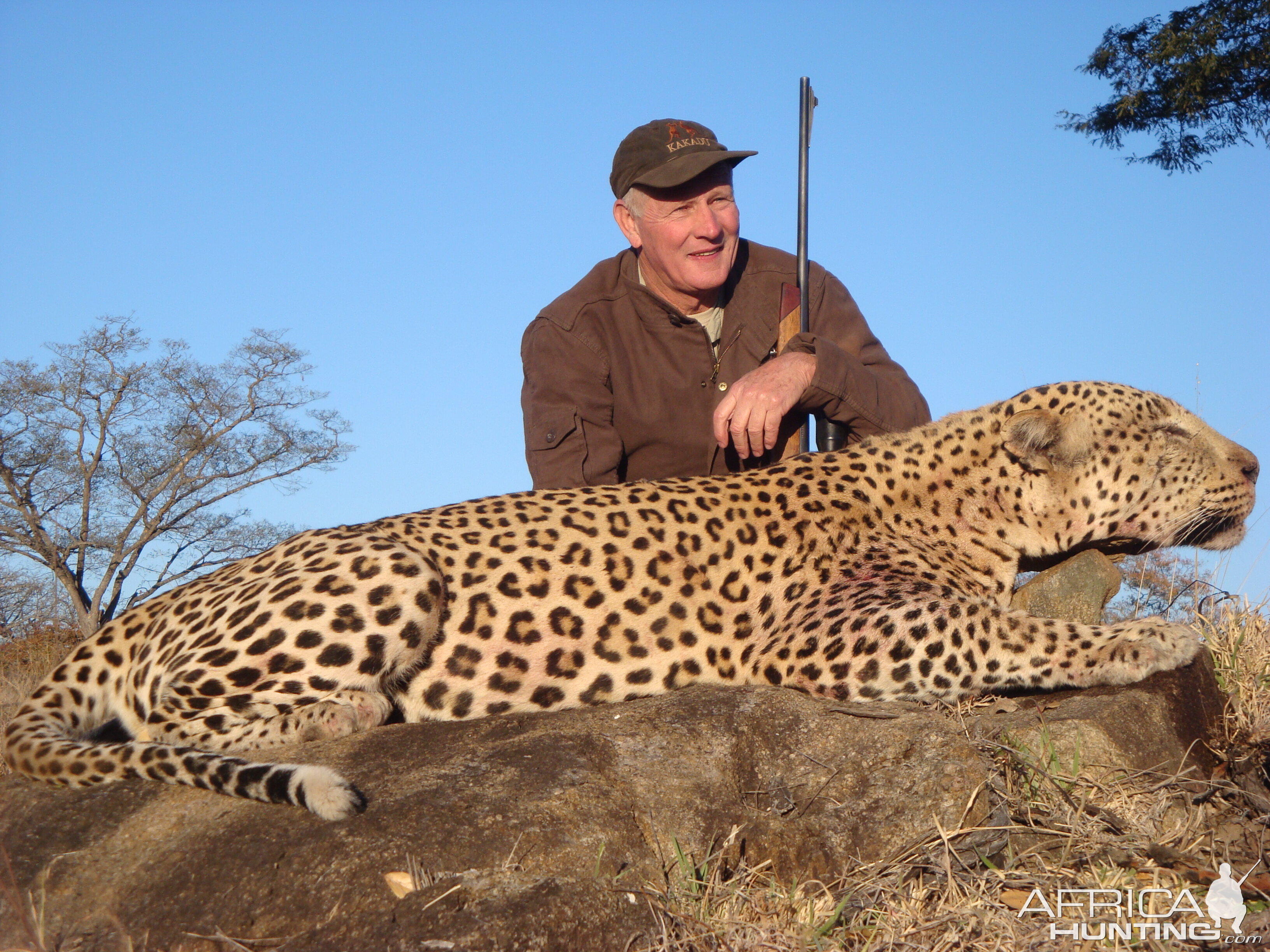 Leopard Hunt South Africa